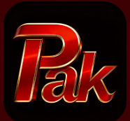 PakNew Game